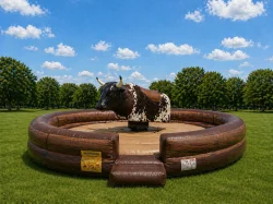 Mechanical Bull